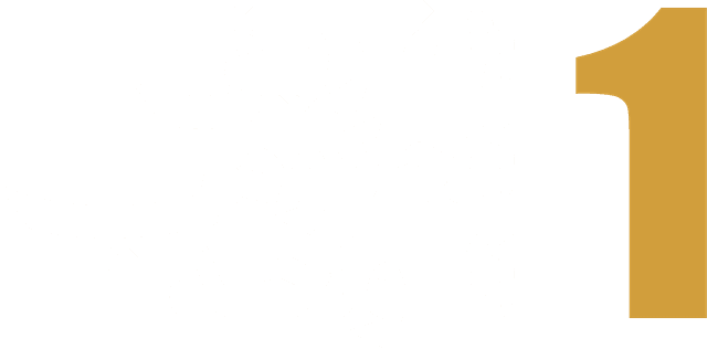 الفريق الحكومي الواحد